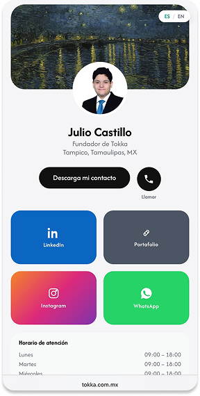 Ejemplo de perfil Tokka de Julio Castillo
